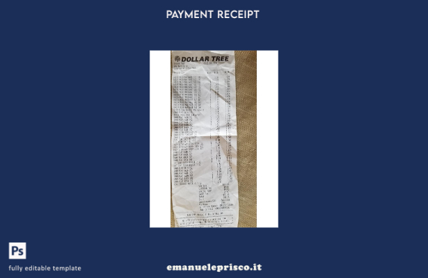 stile verificato Modello di controllo del negozio dell'albero del dollaro